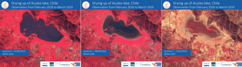De février 2016 à mars 2019, l’eau du lac s’est progressivement tarie. (En rouge, les éléments végétaux, en noir l’eau).
